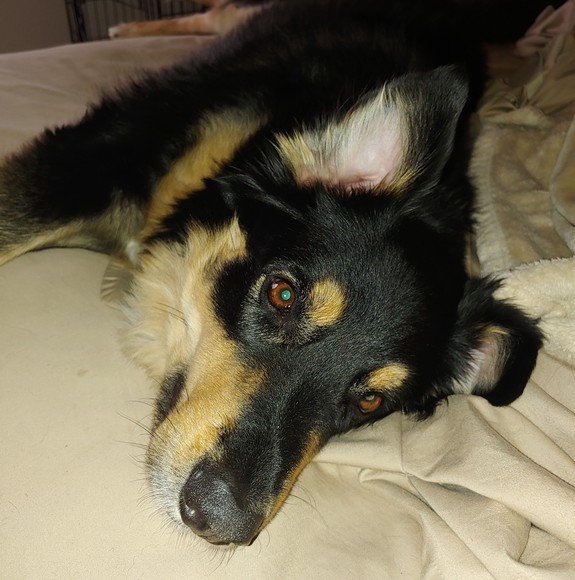 amayzinghazel